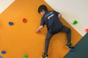 Bouldering Walls